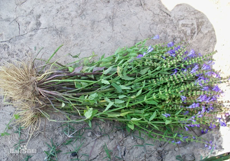 1689219066111649.png 圖片6.png